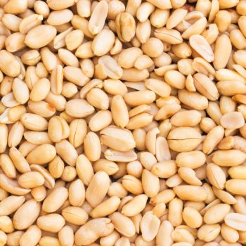 Orzechy ziemne bez soli, Orzeszki ziemne całe 1kg 500g HiFOOD