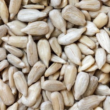 Słonecznik łuskany ziarno świeży Naturalny 500g 1kg HiFOOD Sklep