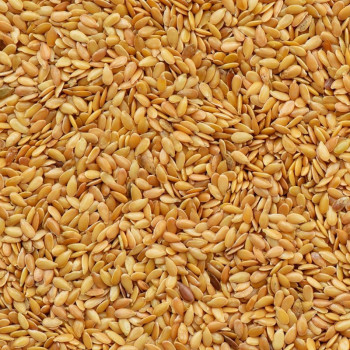 Siemię lniane złote 100% naturalne, wysoka zawartość błonnika, zdrowe