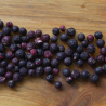 Czarna porzeczka liofilizowana cała 100% bez dodatku cukru HiFOOD