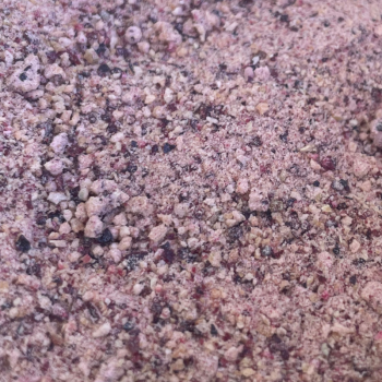 Śliwka liofilizowana Proszek 100% naturalny, idealny do deserów