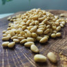 Orzeszki piniowe, Orzechy Pinii, Piniole świeże Premium HiFOOD